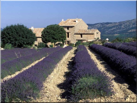 farmhouse in france