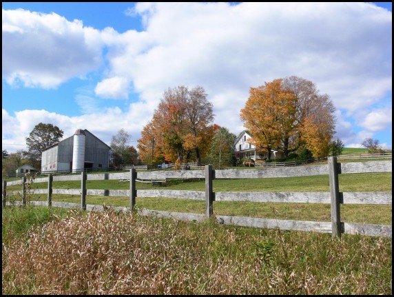 Homesteading Today